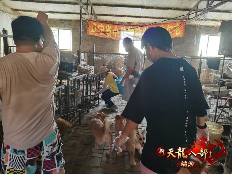 图12：炎热夏天，辛苦辽宁同城会的小哥哥们拉.jpg
