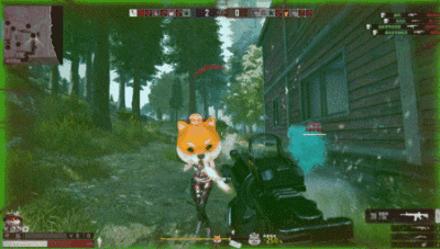 2.gif