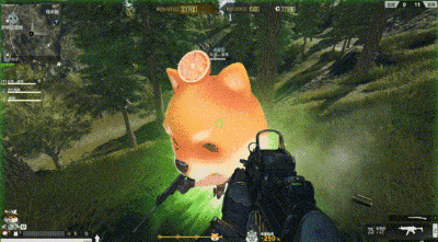 5.gif