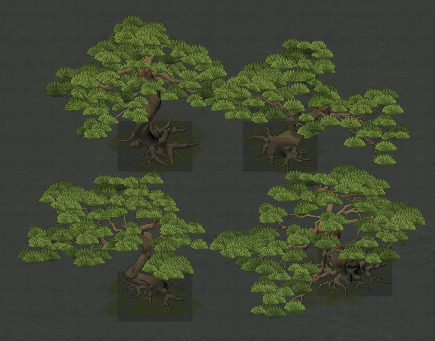 3-武当仙松.jpg