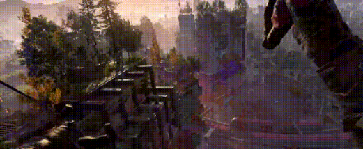 image003.png