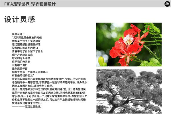 图片15.JPG