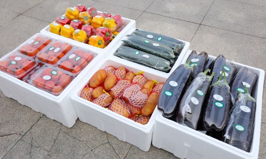 捐助600余吨蔬菜驰援上海，鹰角网络助力疫情防控