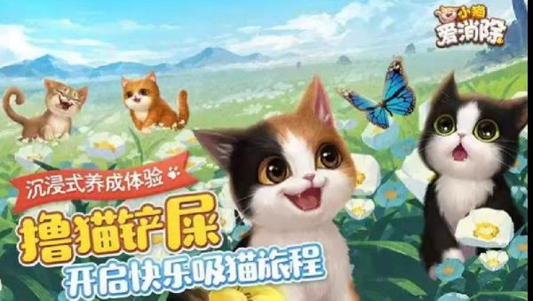 图片1.JPG