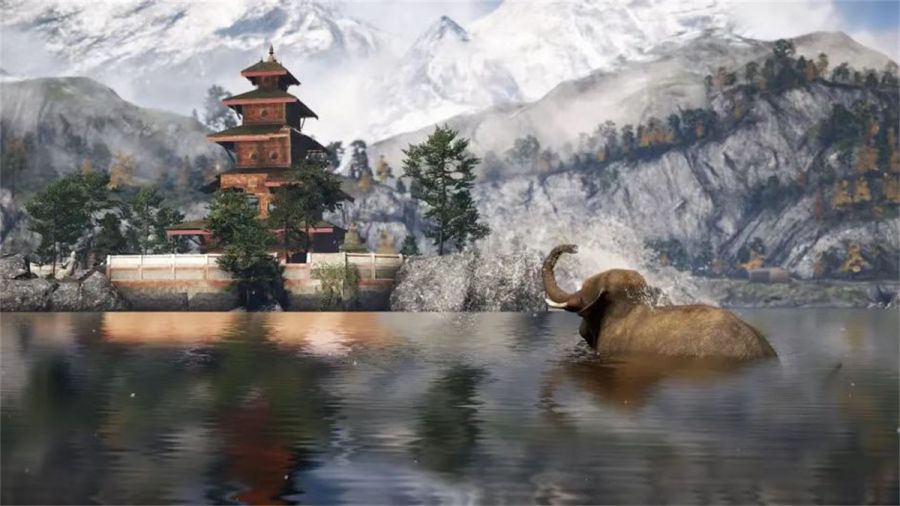 图5.jpeg