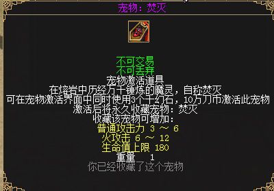 image5.JPG