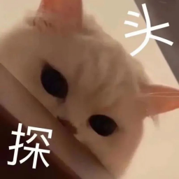 以闪开辟女性向新赛道？宠物系统一经曝光，竟成为云养宠天花板0630543.png
