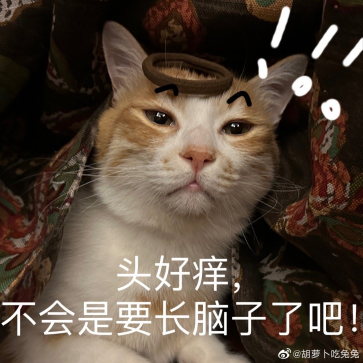 以闪开辟女性向新赛道？宠物系统一经曝光，竟成为云养宠天花板06301015.png