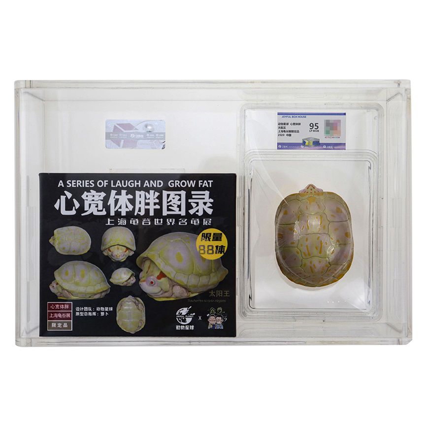 图片6.JPG