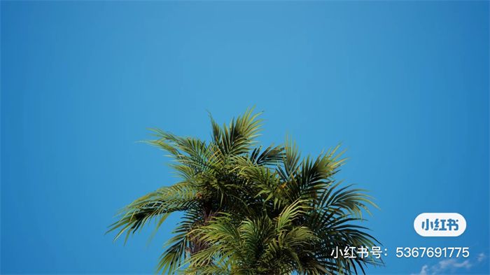 9cce1f0b242446508d474de926027849.jpg