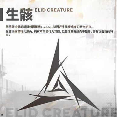 图片10-3.JPG
