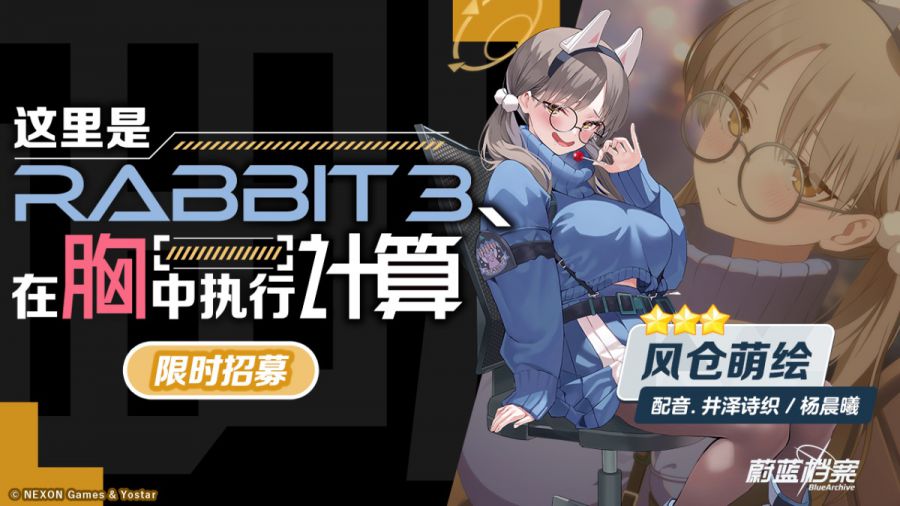 新闻图6 这里是RABBIT3 在胸中执行计算.JPG