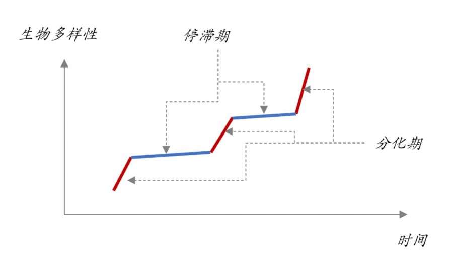 微信图片_20250320105710.JPG