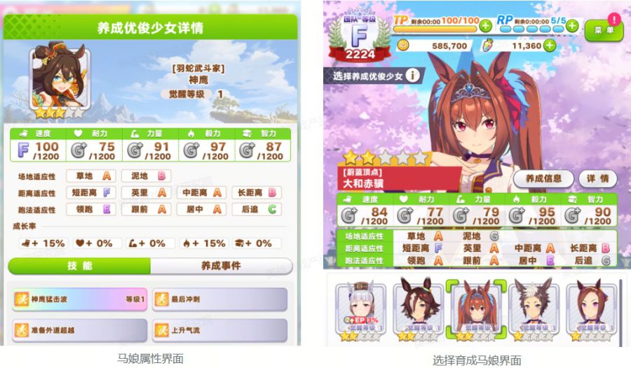 微信图片_20250613085305.JPG