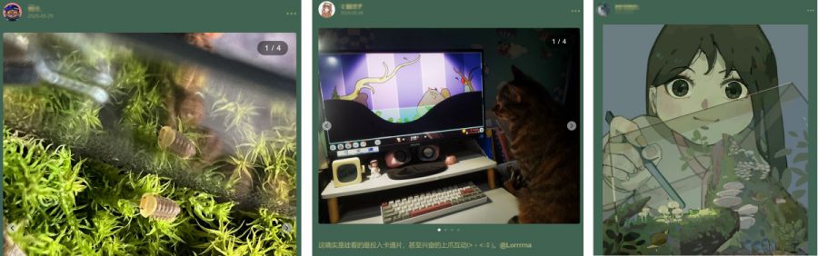 微信图片_20250625091154.JPG