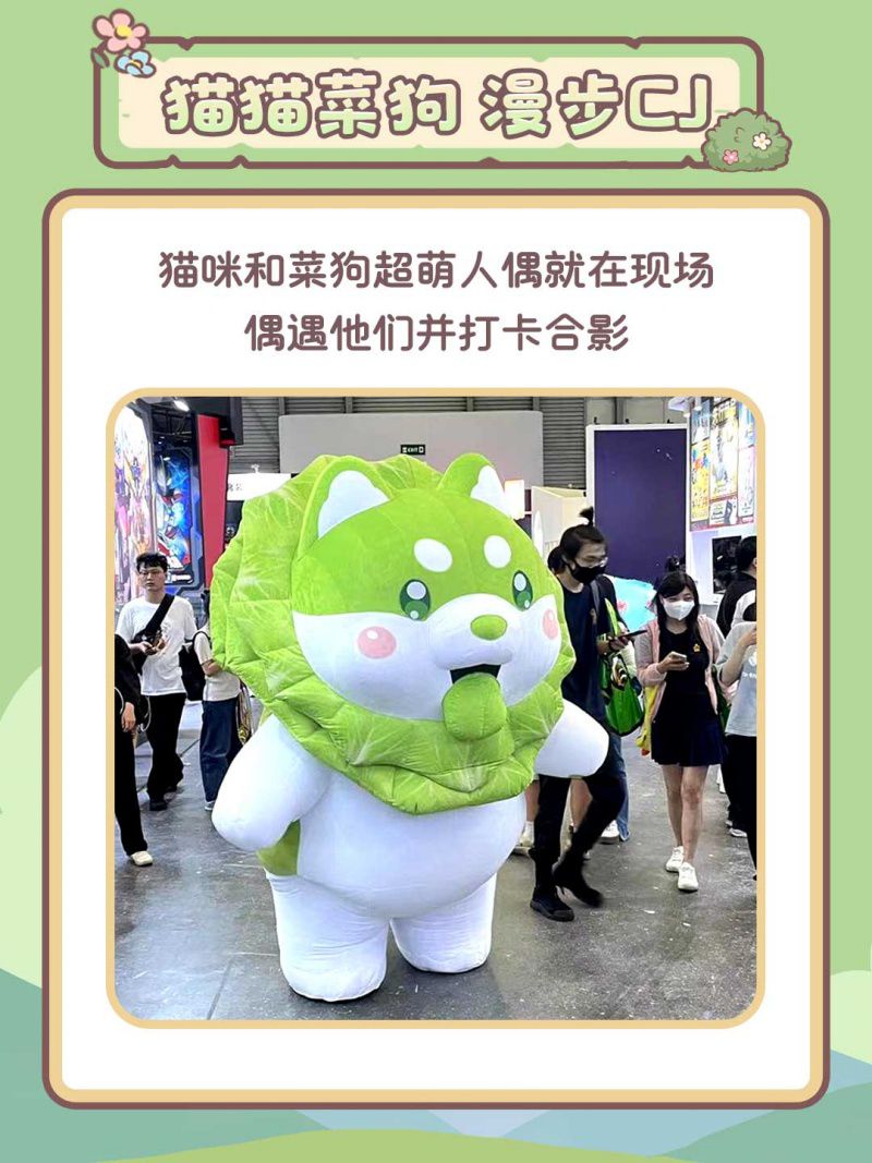 图5.jpg