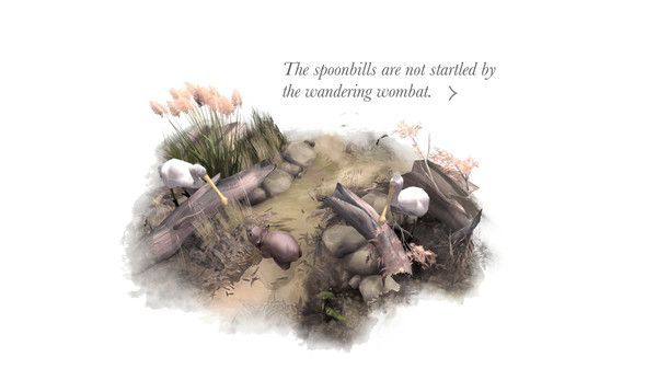 千层树下（Paperbark）