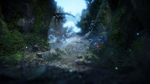 寻找黎明(Seeking Dawn)