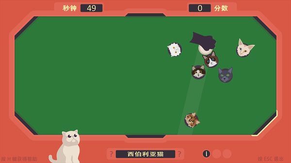 猫猫游戏（The Cat Games）